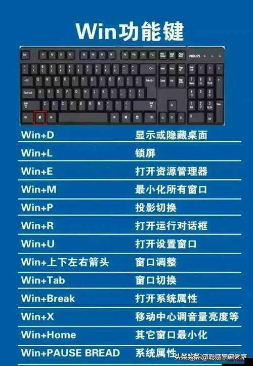 龙珠超宇宙 pc 版键盘操作设置要点